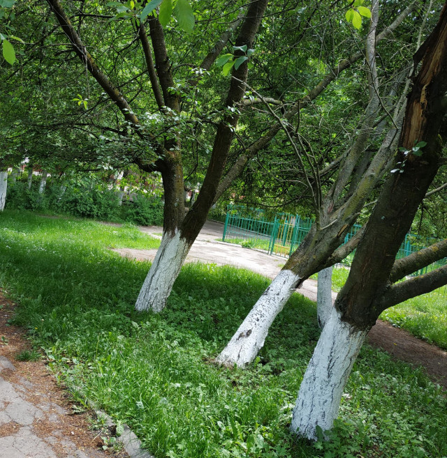 вул. Грабовського, 13б