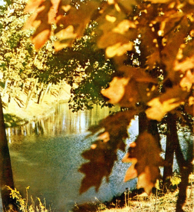 Волинська природа