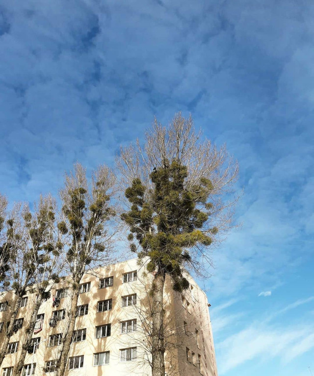 Фото @yuliaogorodnik