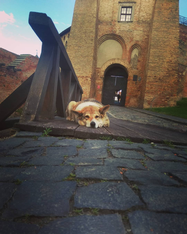 Фото @olyaiatskiv