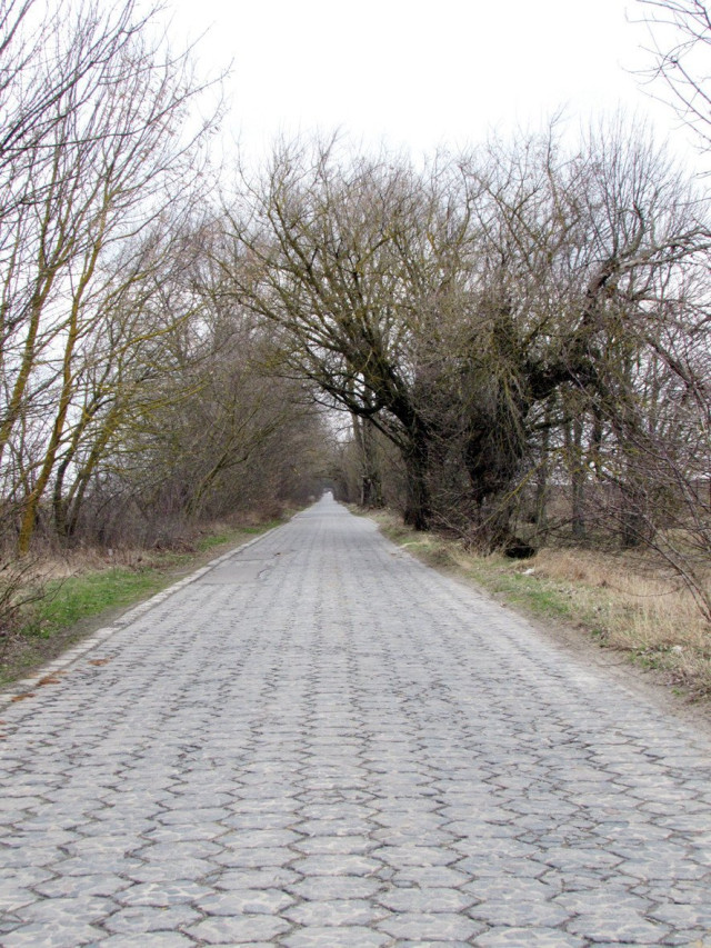 Трилінка до Олики 1930-х років. Її поклали за кошти останніх олицьких Радзивіллів