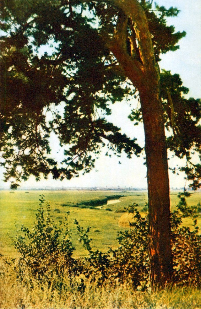 Волинська природа